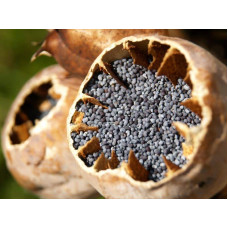 Poppy Seed 5kg