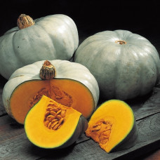  Pumpkin - Queenland Blue 1kg
