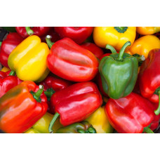  Sweet Pepper Green to Red 1kg