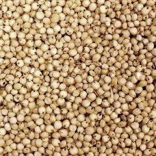 White Sorghum 25kg