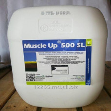 Muscle-Up K 500 SL 20L