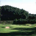 Turf Fescue-Speedway-25kg (Full Bag)